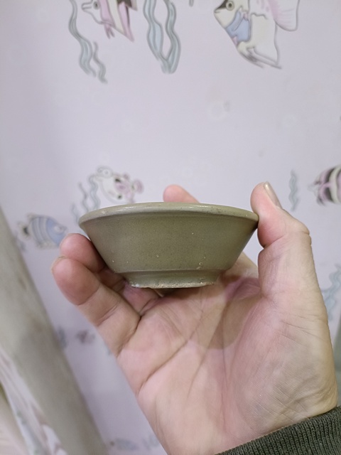 古玩陶瓷龍泉青瓷直壁洗（說的我好害怕呀??）真品鑒賞圖