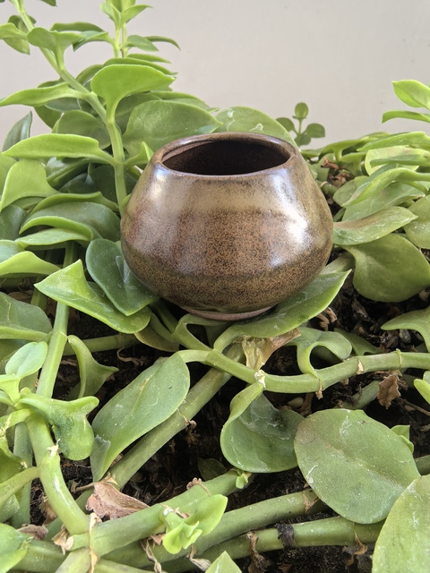 古玩陶瓷茶葉末釉雞心罐真品鑒賞圖