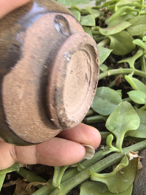 古玩陶瓷茶葉末釉雞心罐真品鑒賞圖