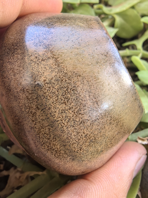 古玩陶瓷茶葉末釉雞心罐真品鑒賞圖