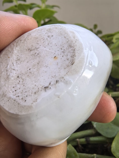 古玩陶瓷白釉壽桃形水滴真品鑒賞圖