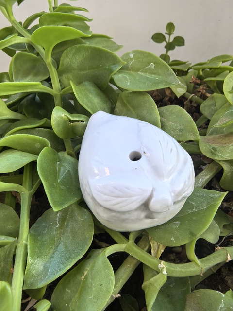 古玩陶瓷白釉壽桃形水滴真品鑒賞圖