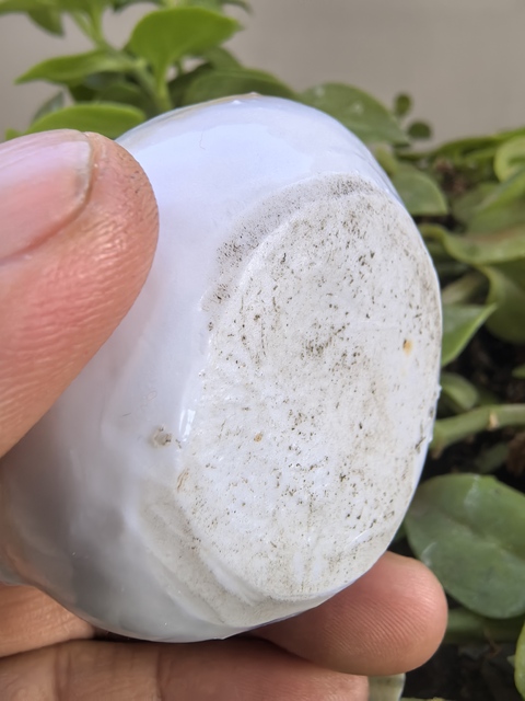 古玩陶瓷白釉壽桃形水滴真品鑒賞圖