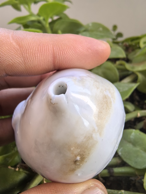 古玩陶瓷白釉壽桃形水滴真品鑒賞圖