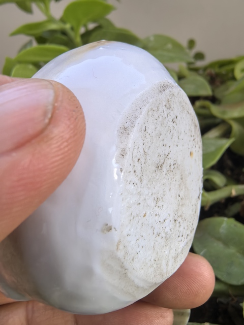 古玩陶瓷白釉壽桃形水滴真品鑒賞圖