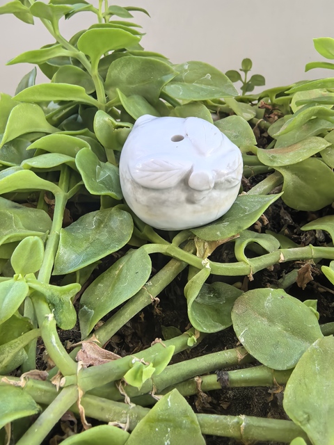 古玩陶瓷白釉壽桃形水滴真品鑒賞圖