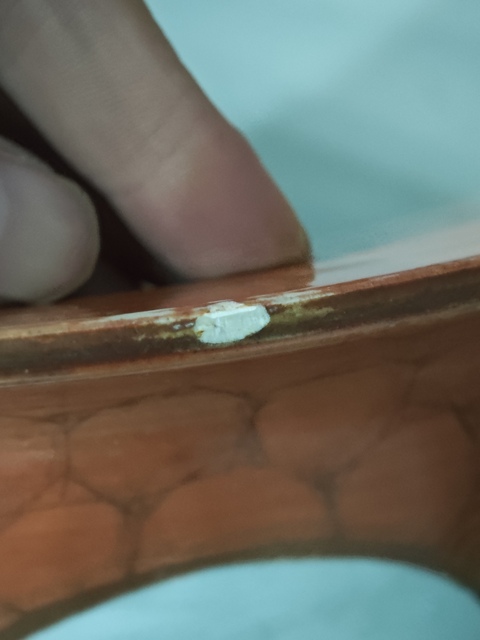 古玩陶瓷珊瑚紅描金開窗粉彩花鳥紋花盆真品鑒賞圖