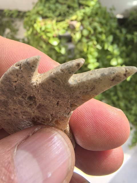 古玩玉器仿文化期玉鸮真品鑒賞圖