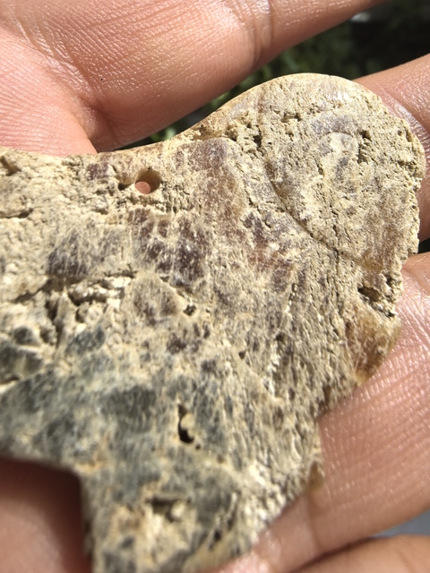 古玩玉器仿文化期玉鸮真品鑒賞圖