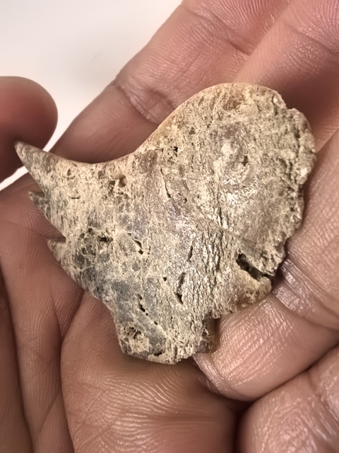 古玩玉器仿文化期玉鸮真品鑒賞圖