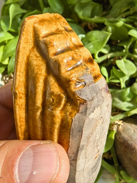 古玩陶瓷黃釉船擺件真品鑒賞圖