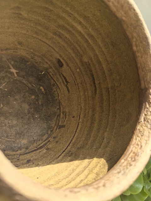 古玩陶瓷清代茶葉末釉罐真品鑒賞圖