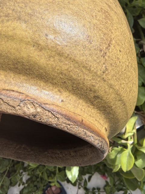 古玩陶瓷清代茶葉末釉罐真品鑒賞圖