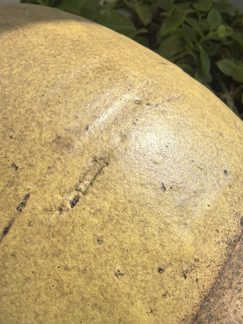 古玩陶瓷清代茶葉末釉罐真品鑒賞圖