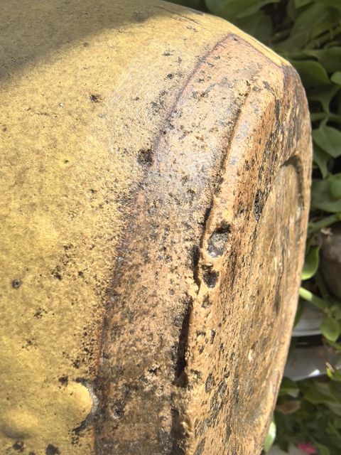 古玩陶瓷清代茶葉末釉罐真品鑒賞圖