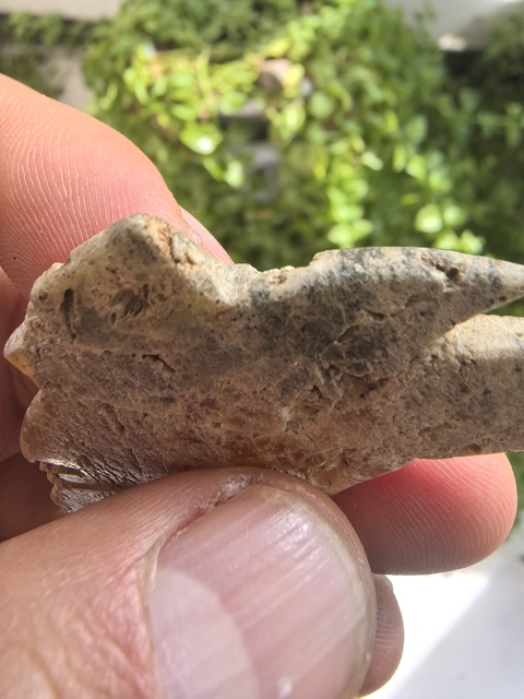 古玩玉器仿文化期玉鸮真品鑒賞圖