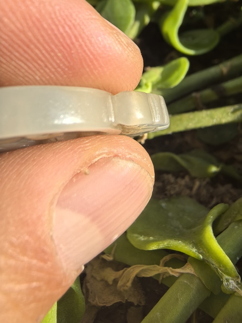 古玩玉器仿古玉鹿鏤空佩真品鑒賞圖