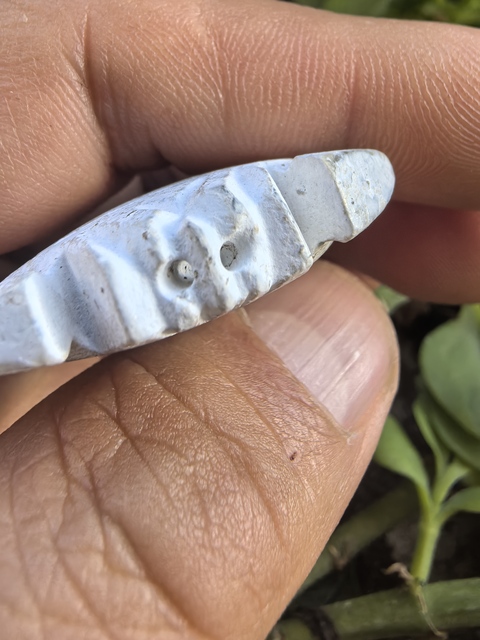 古玩玉器仿古做舊玉蟬型件真品鑒賞圖