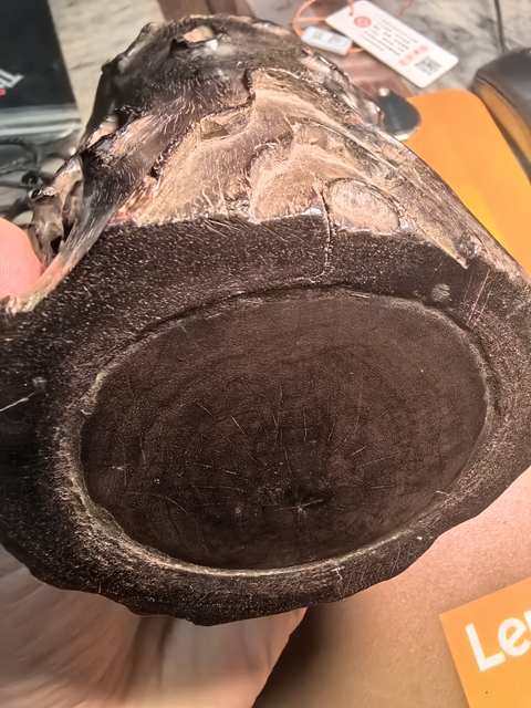 古玩雜項(xiàng)創(chuàng)匯·紫檀筆筒 真品鑒賞圖