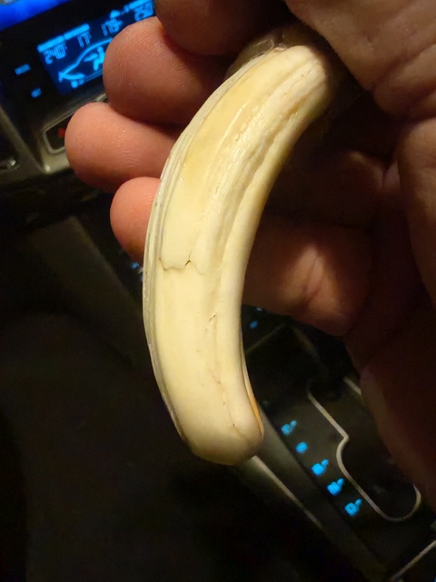 古玩雜項牙吊墜真品鑒賞圖