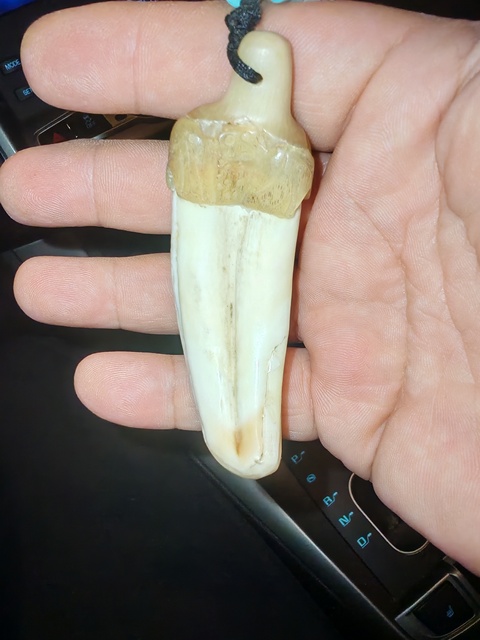 古玩雜項牙吊墜真品鑒賞圖