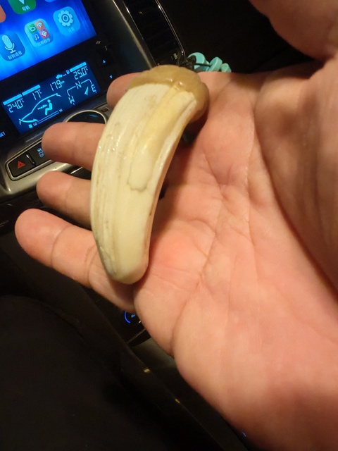 古玩雜項牙吊墜真品鑒賞圖