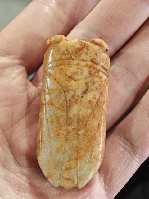 古玩雜項(xiàng)玉蟬真品鑒賞圖