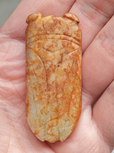 古玩雜項(xiàng)玉蟬真品鑒賞圖