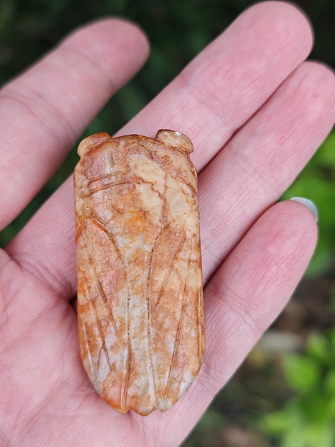 古玩雜項(xiàng)玉蟬真品鑒賞圖