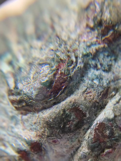 古玩銅器漢代青銅熊真品鑒賞圖