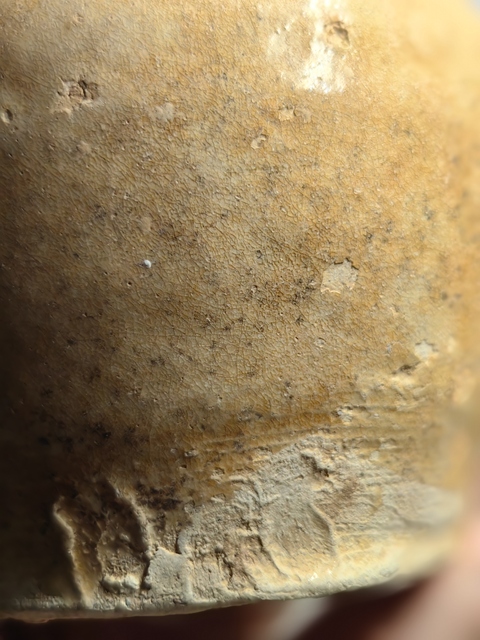 古玩陶瓷青釉雙系盤口瓶真品鑒賞圖