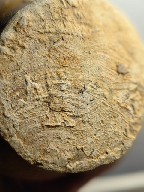 古玩陶瓷青釉雙系盤口瓶真品鑒賞圖