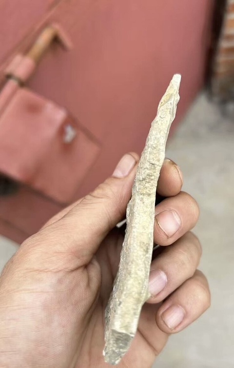 古玩雜項(xiàng)三葉蟲(chóng)化石真品鑒賞圖