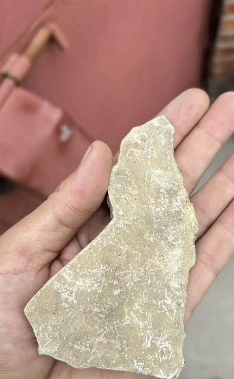 古玩雜項(xiàng)三葉蟲(chóng)化石真品鑒賞圖