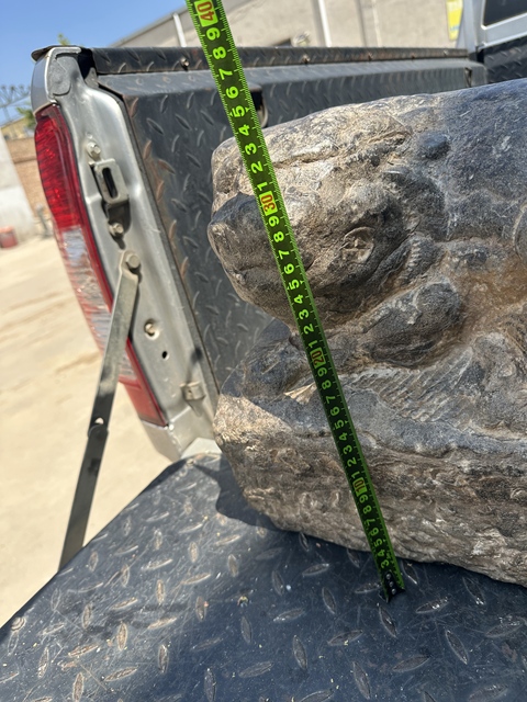 古玩雜項角獅真品鑒賞圖