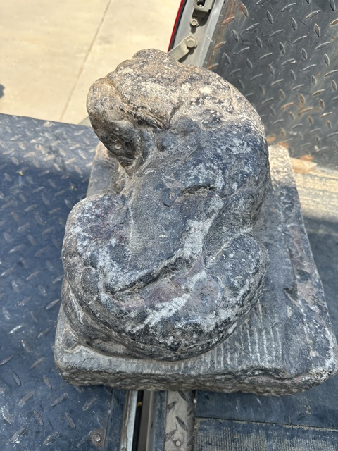 古玩雜項角獅真品鑒賞圖