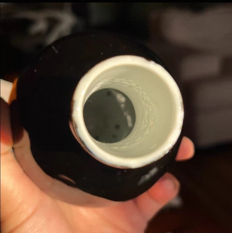 古玩陶瓷清代烏金釉天球瓶拍賣，當(dāng)前價(jià)格5800元