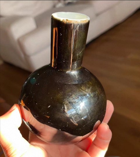 古玩陶瓷清代烏金釉天球瓶拍賣，當(dāng)前價(jià)格5800元
