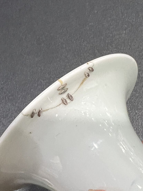 古玩陶瓷青花釉里紅梅花紋瓶真品鑒賞圖