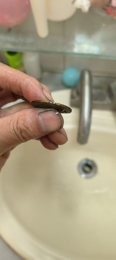 古玩錢幣乾隆通寶寶云局真品鑒賞圖