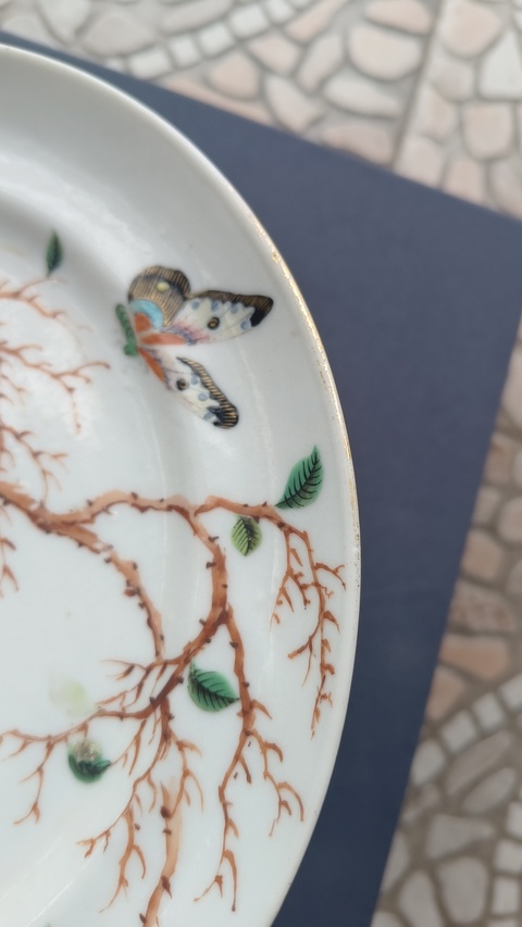 古玩陶瓷花鳥蝶紋臥足廣彩盤真品鑒賞圖