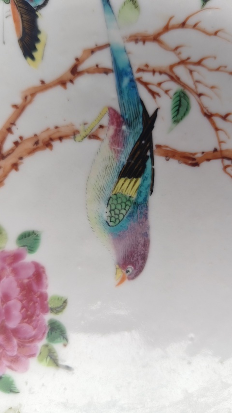 古玩陶瓷花鳥蝶紋臥足廣彩盤真品鑒賞圖