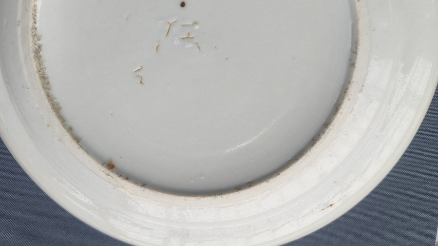 古玩陶瓷花鳥蝶紋臥足廣彩盤真品鑒賞圖