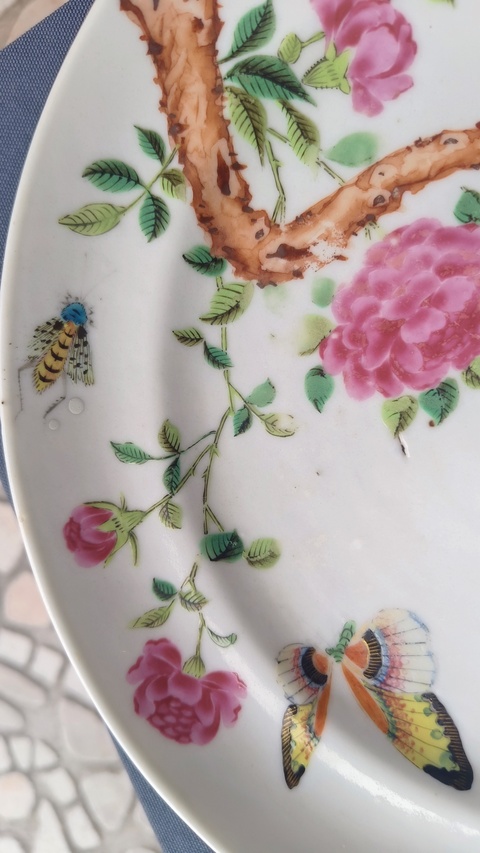 古玩陶瓷花鳥蝶紋臥足廣彩盤真品鑒賞圖