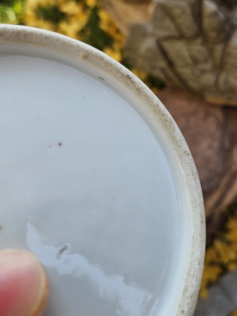 古玩陶瓷粉彩花鳥紋將軍罐真品鑒賞圖