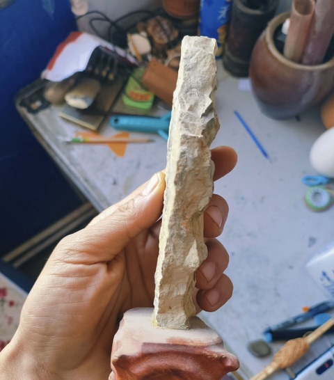 古玩雜項寒武紀·三葉蟲·化·石真品鑒賞圖