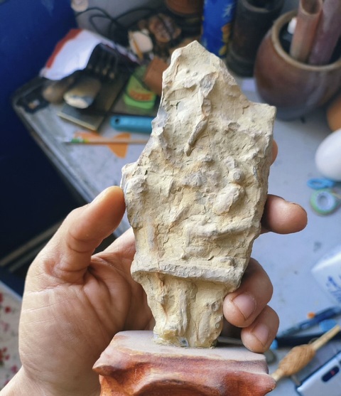 古玩雜項寒武紀·三葉蟲·化·石真品鑒賞圖