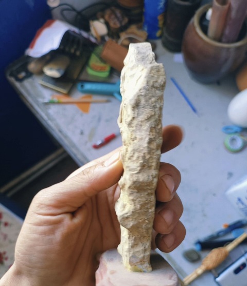 古玩雜項寒武紀·三葉蟲·化·石真品鑒賞圖