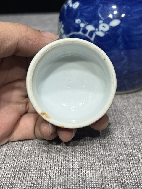 古玩陶瓷晚清青花冰梅蓋罐真品鑒賞圖