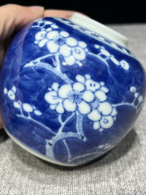 古玩陶瓷晚清青花冰梅蓋罐真品鑒賞圖